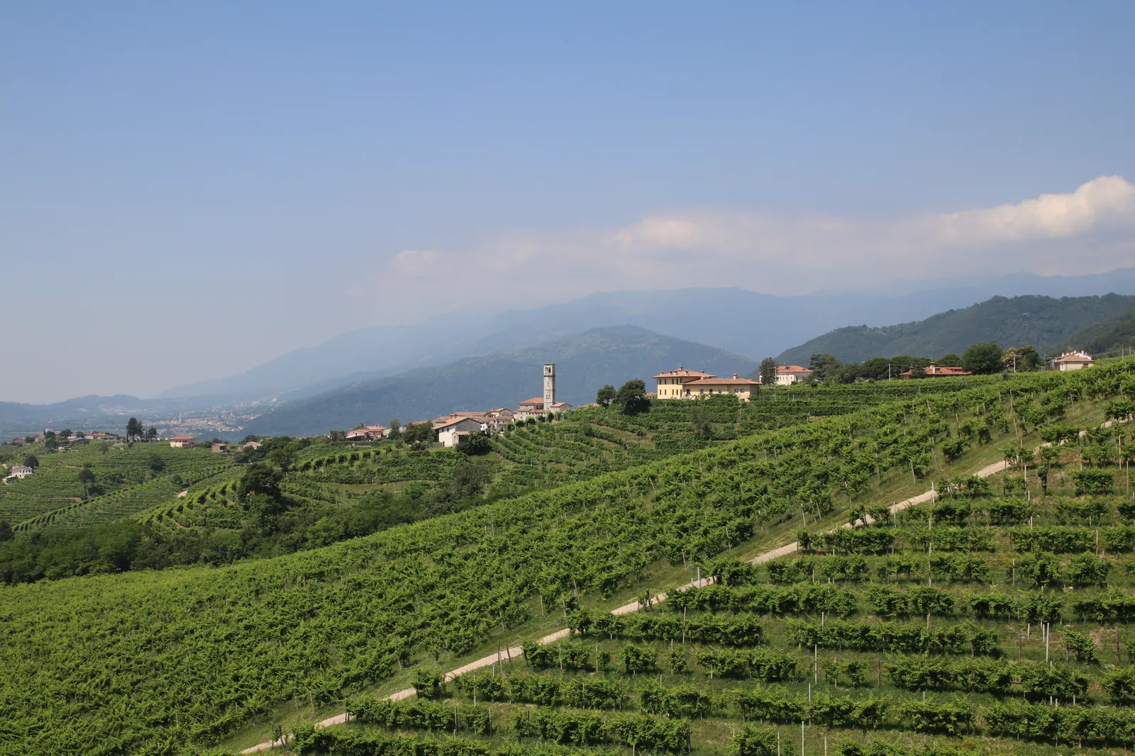 A lane through Prosecco vineyards toward San Pietro di Barbozza, Valdobbiadene