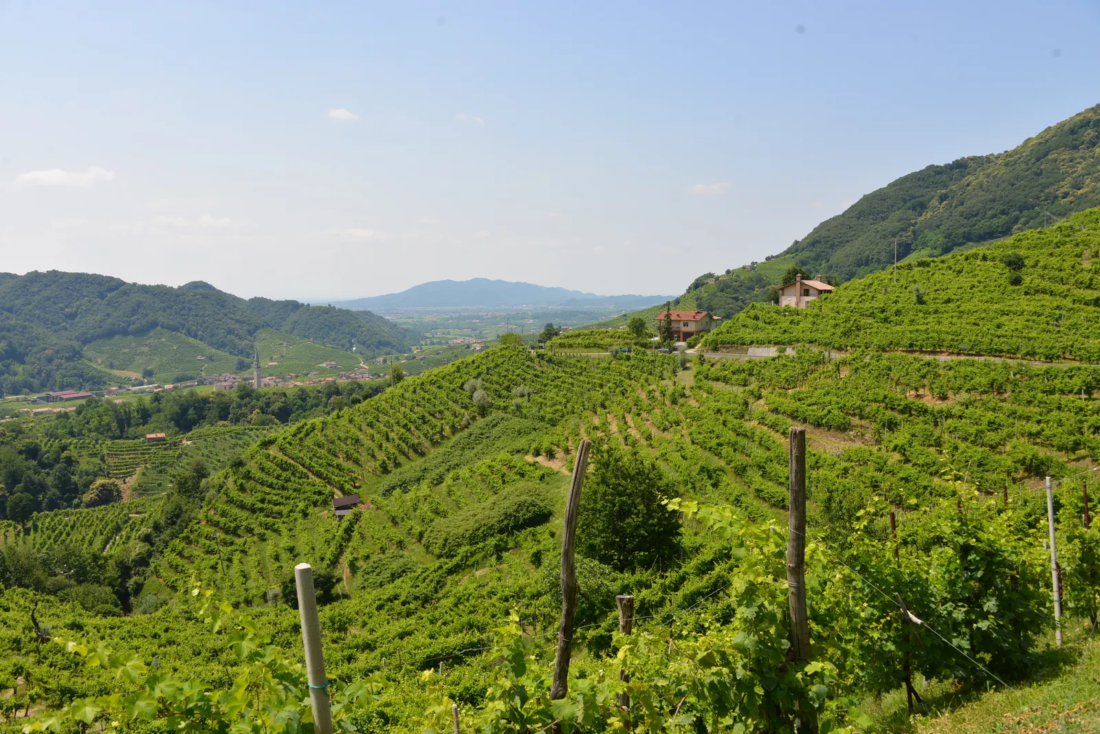Terrassierte Weinberge an den Hügeln rund um Santo Stefano, Valdobbiadene